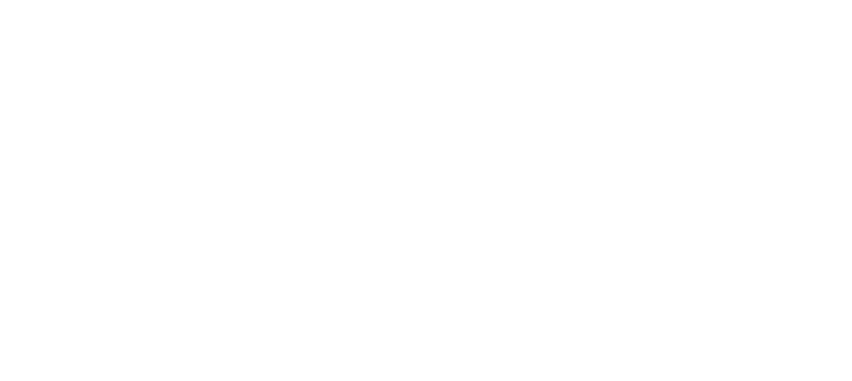 Mr. Pizza